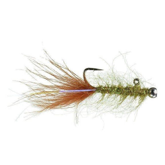 Balanced Leech - Size 10