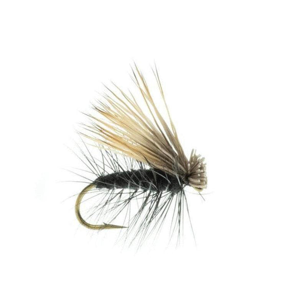 Black Elk Hair Caddis 18