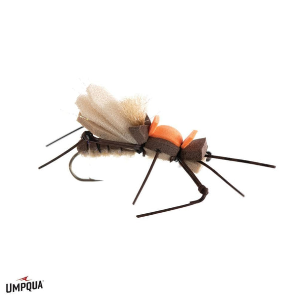 Brown and Tan Dancin' Ricky 14