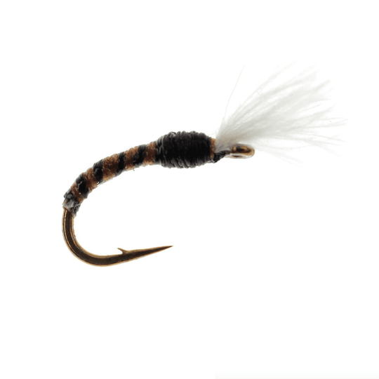 No Mercy Midge - Size 18