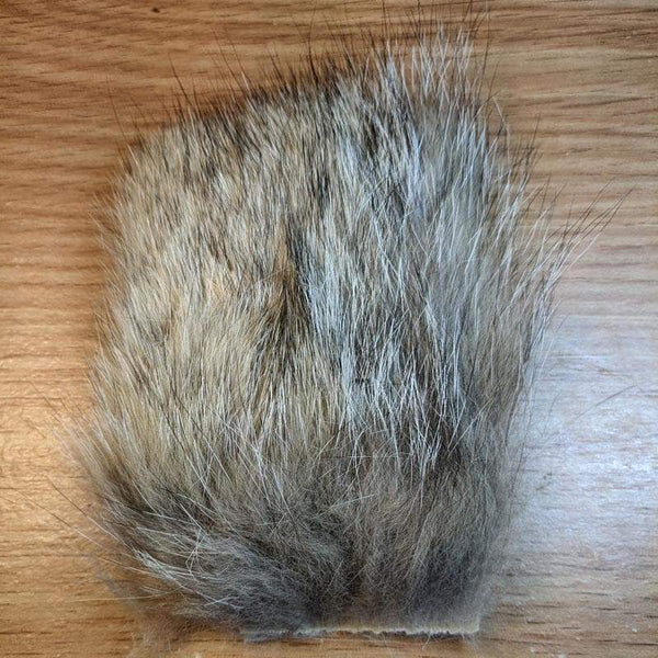 Coyote Fur Patch