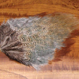 Ringneck Pheasant Rump Patch