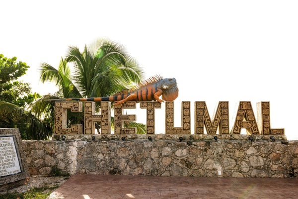 Fly Fishing Chetumal