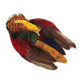 Golden Pheasant Skin with Head