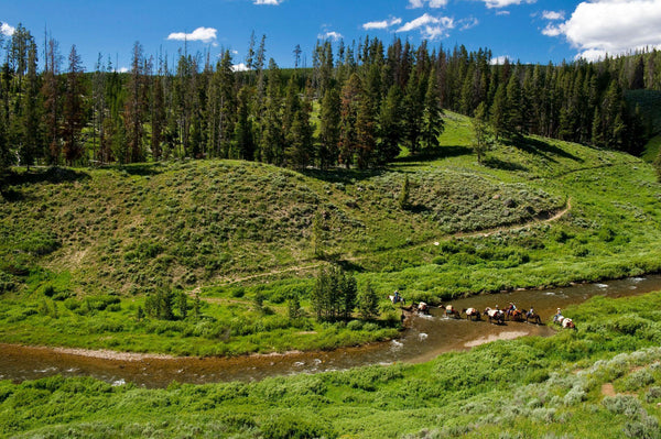 Yellowstone Backcountry Fishing Trips