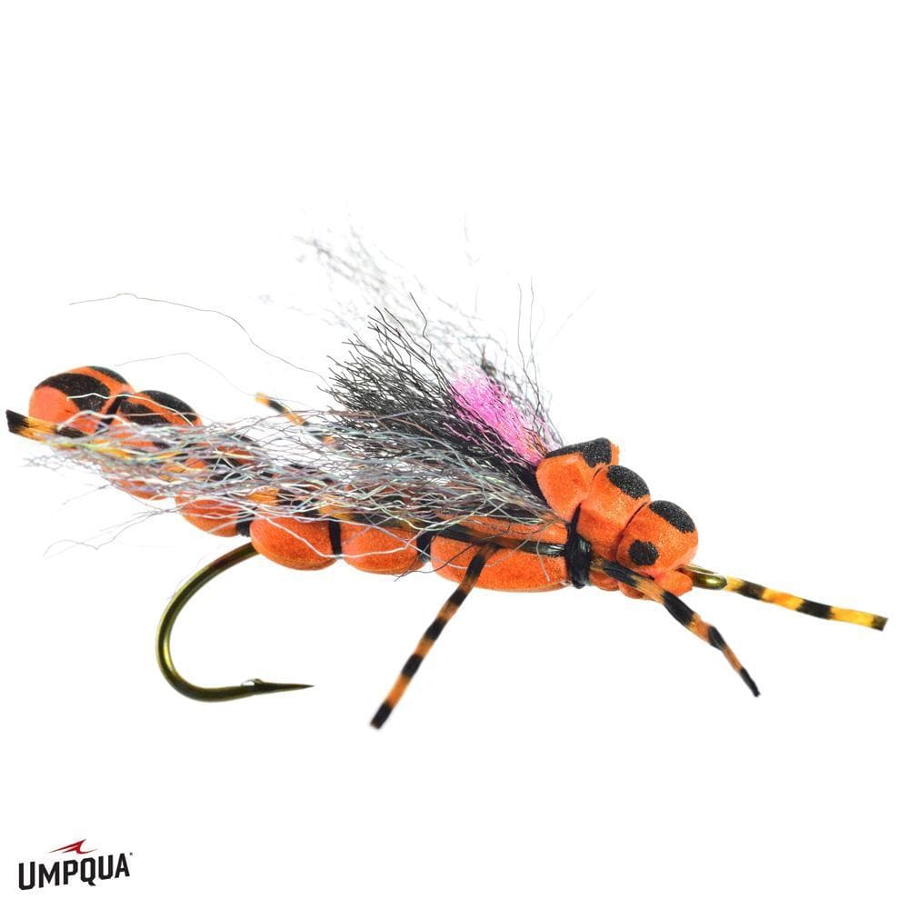 Salmonfly Morningwood Special 6
