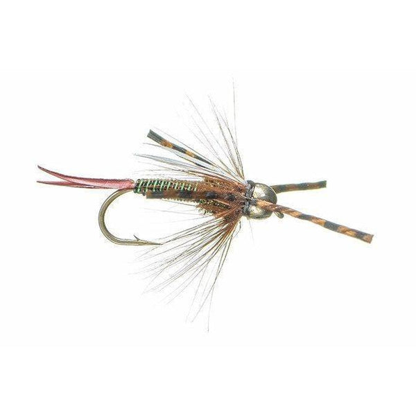 Olive Montana Prince