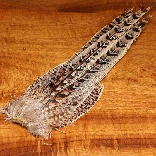 Ringneck Pheasant Hen Tail Clump