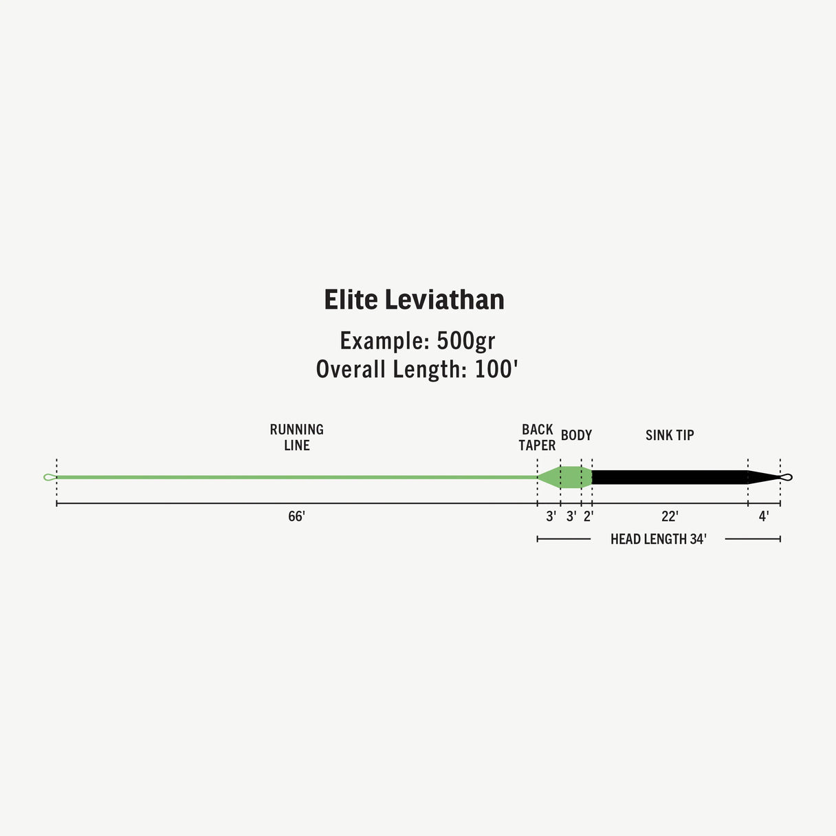 RIO Elite Leviathan | Yellow Dog Flyfishing
