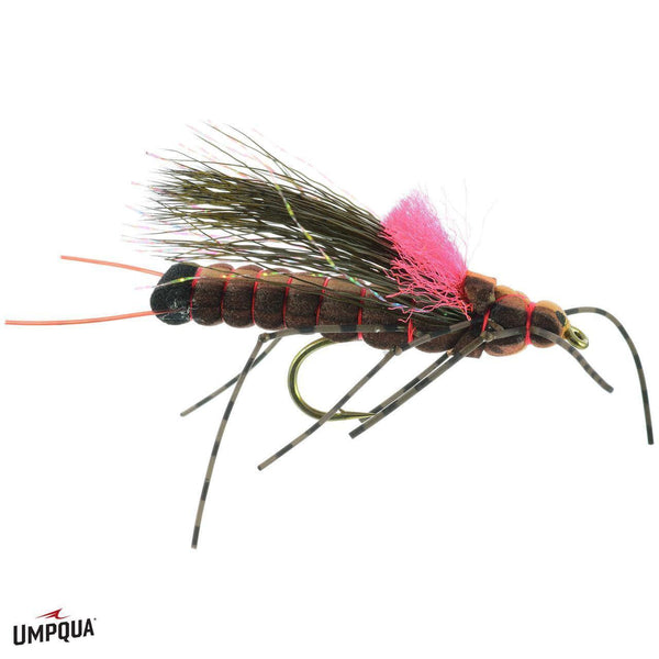 Salmonfly Fluttering Stone 6