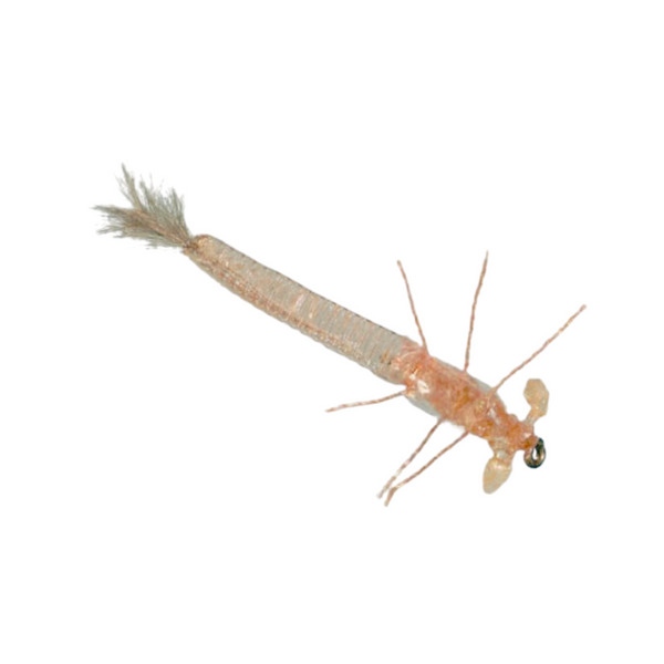 Ultra Damsel - Tan - Size 14