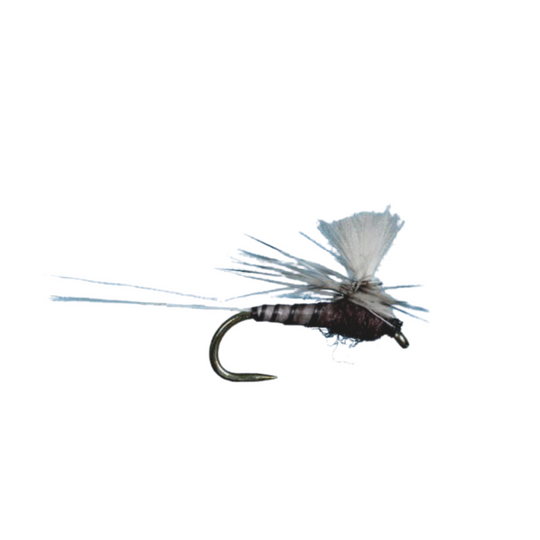 CDC Parachute Spinner - Trico