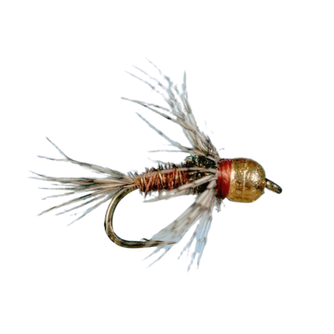Tungsten Bead Soft Hackle Pheasant Tail