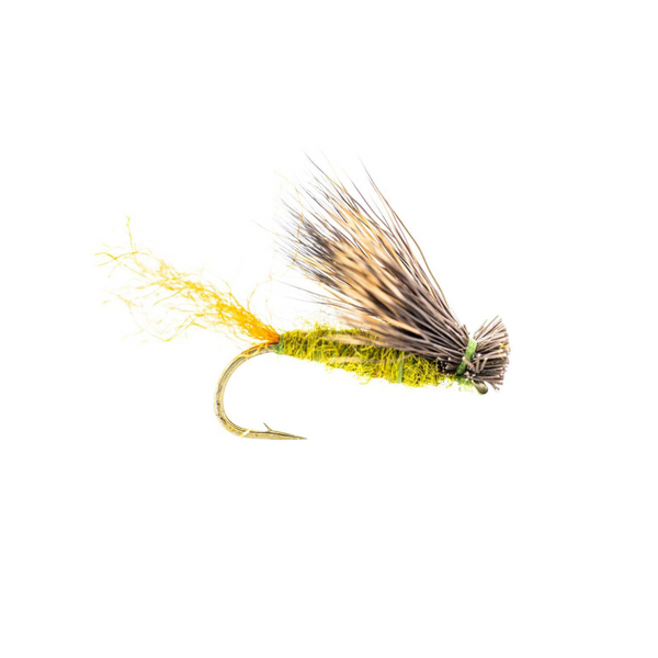 X Caddis - Olive