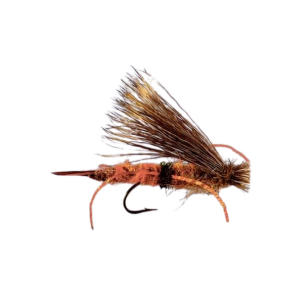 Cat Puke - Salmonfly - Size 6