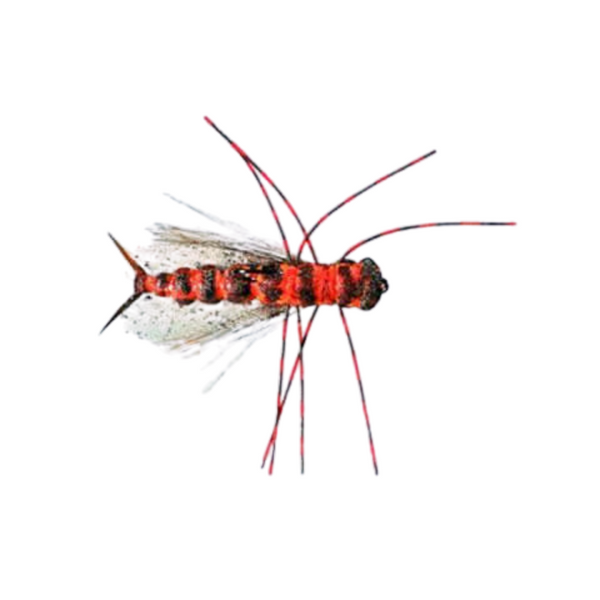 Crowd Surfer - Salmonfly - Size 6