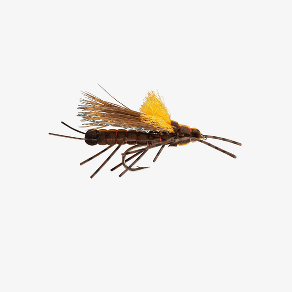 RIO's Morrish Fluttering Stone Salmonfly 6 |  