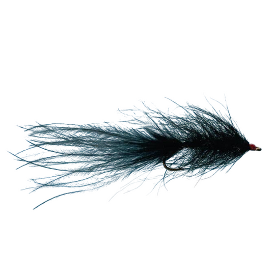 Hale Bopp Leech - Size 10