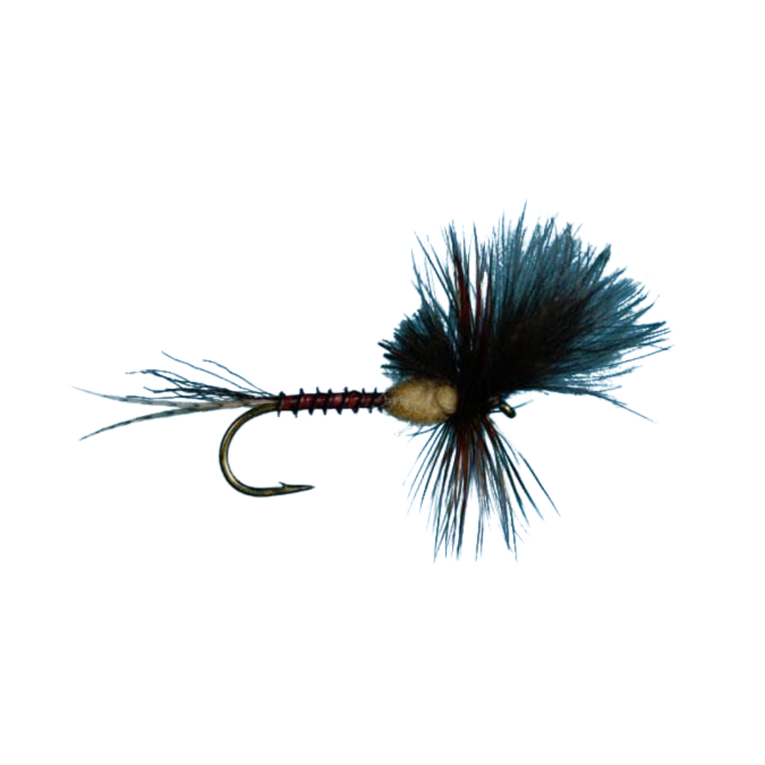 Brown Drake Last Chance Cripple - Size 10