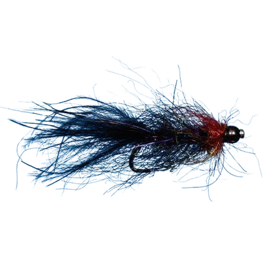 TB Balanced Leech