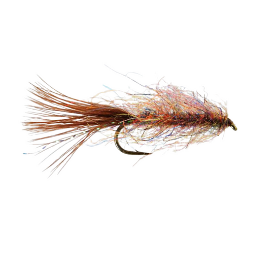 Goat Leech - Size 10