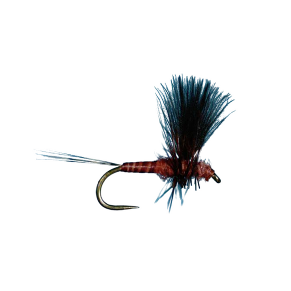 CDC Thorax - Mahogany
