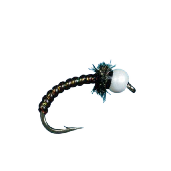 Motor Oil ChironoCones