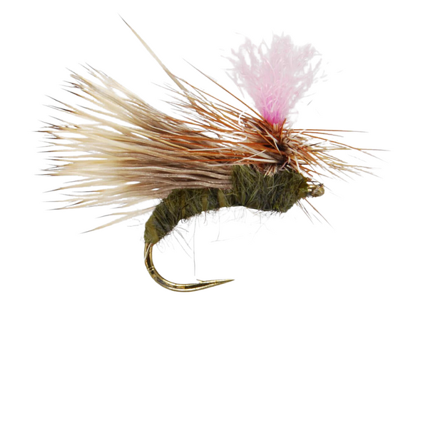 Parachute Caddis - Dark Olive