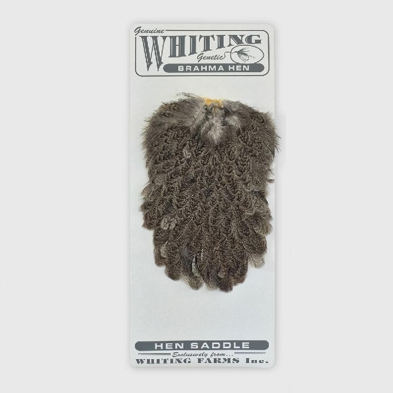Whiting Brahma Hen Saddle