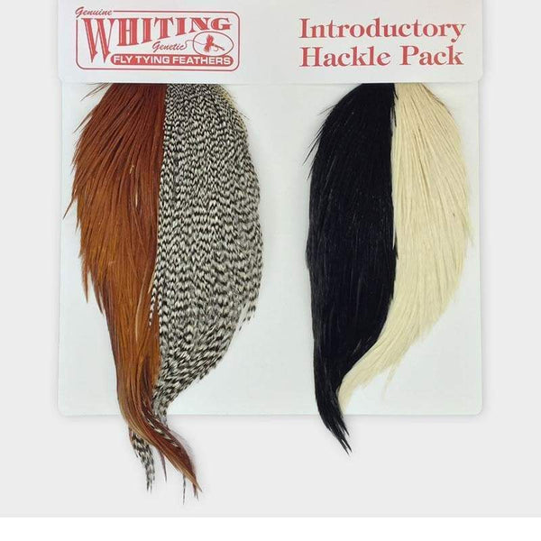 Whiting Intro Hackle Pack - Cape