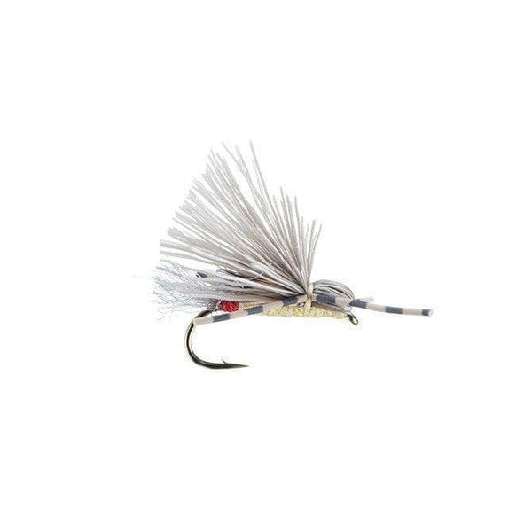 Yellow Butch Sally 16