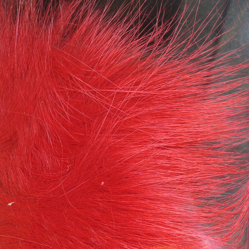 Arctic Fox Body Hair