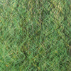 Seaweed
