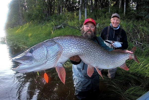 Midnight Sun Trophy Pike