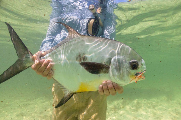 Kay Fly Fishing Lodge