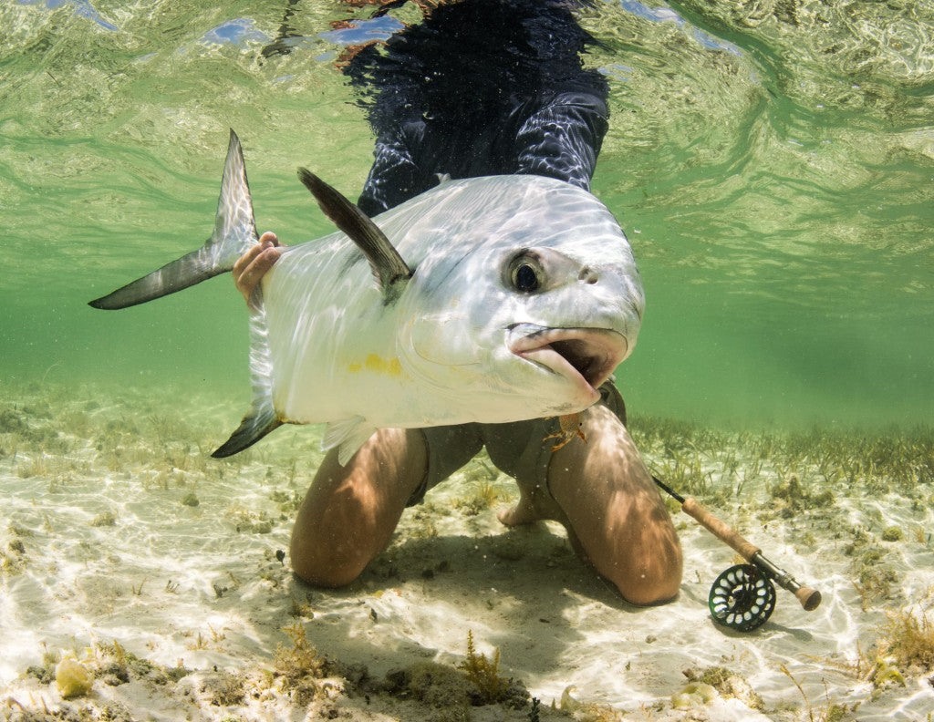 Bahamas Bonefish Fly Fishing Permit underwater photo