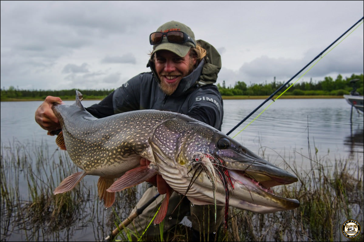 Beginner's Guide: How to Fly Fish For Pike